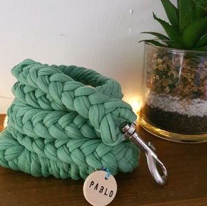 Pablo Light Green T Shirt Yarn Braided Dog Leash